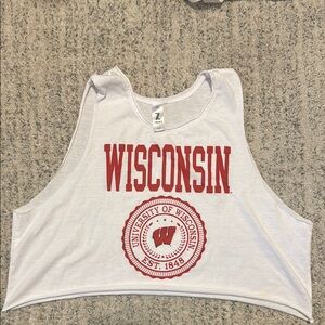 Wisconsin White Crop Top